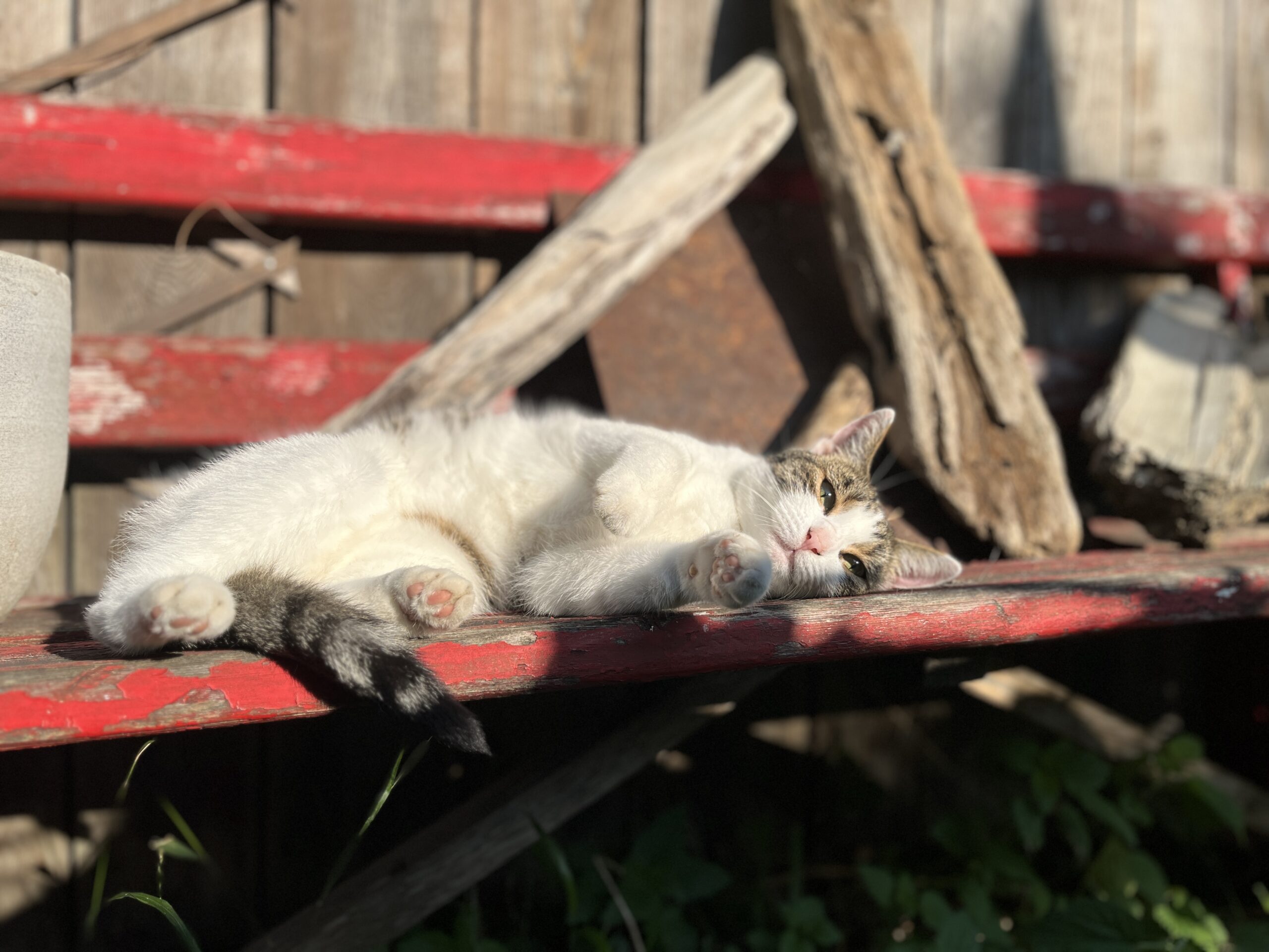 Chillen im Rebberg