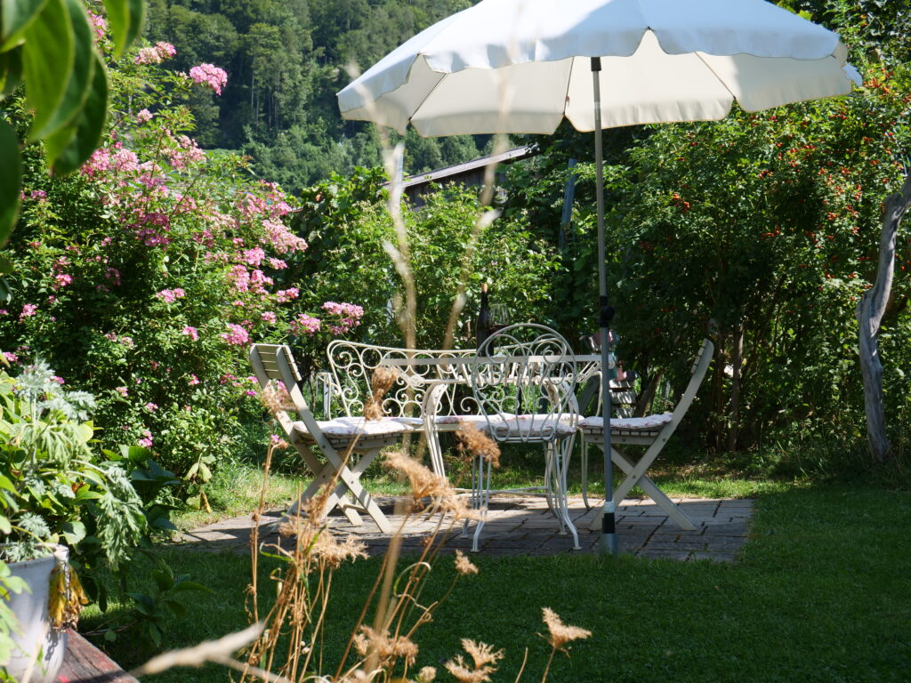 Sitzplatz im Rebberg